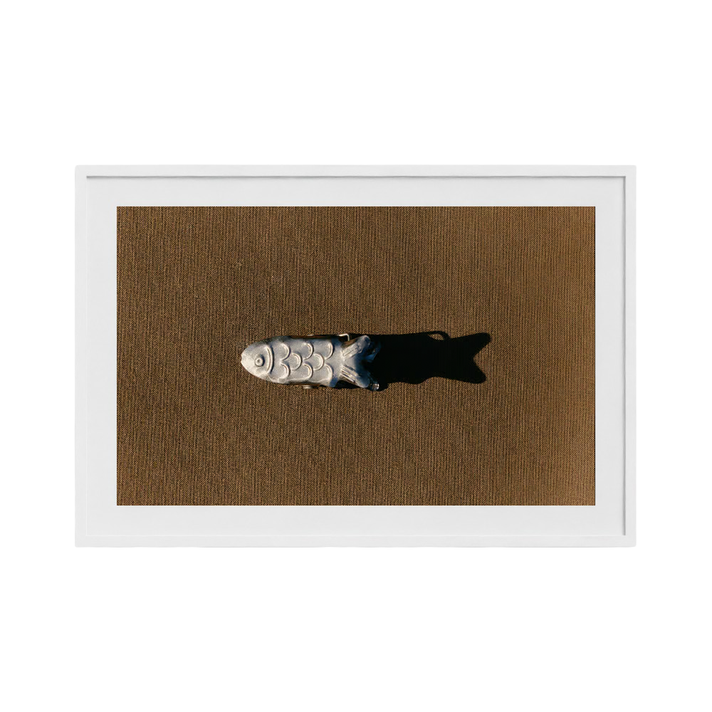 Little Fish